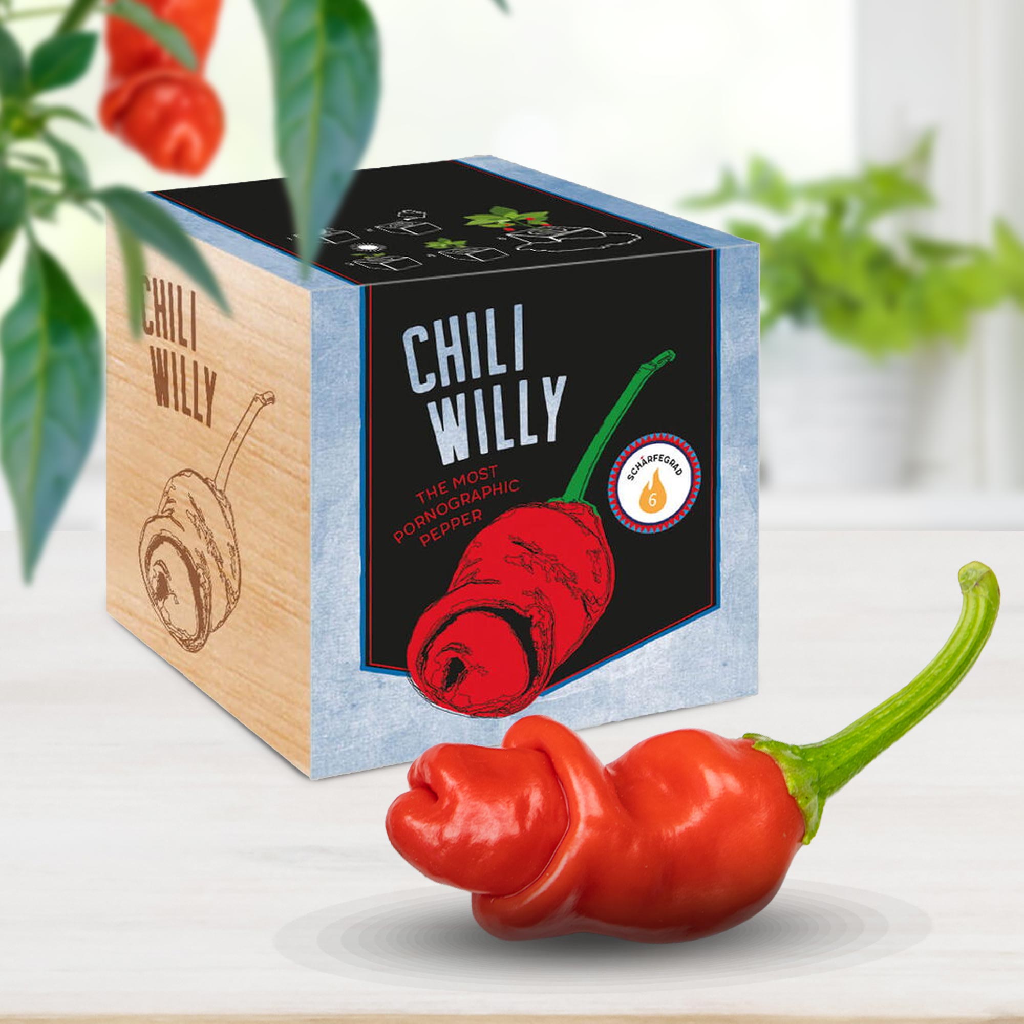 Chili Willy
